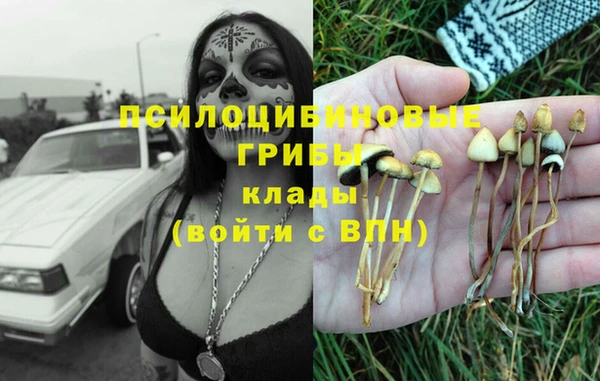 героин Алзамай