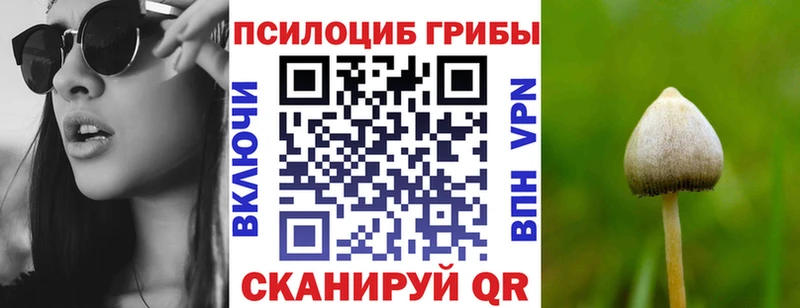 ОМГ ОМГ ссылка  Чаплыгин  Галлюциногенные грибы прущие грибы  купить наркоту 